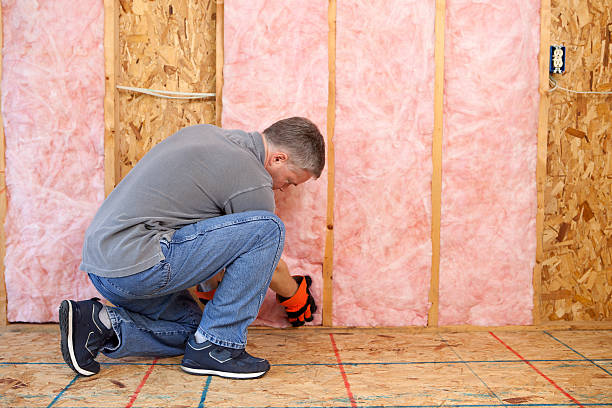 Best Cellulose Insulation  in Fairburn, GA