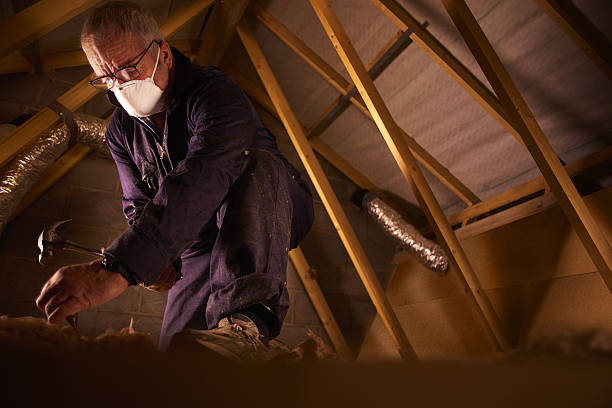 Best Local Insulation Services  in Fairburn, GA
